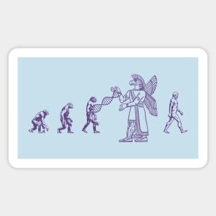 Real Human Evolution Sticker